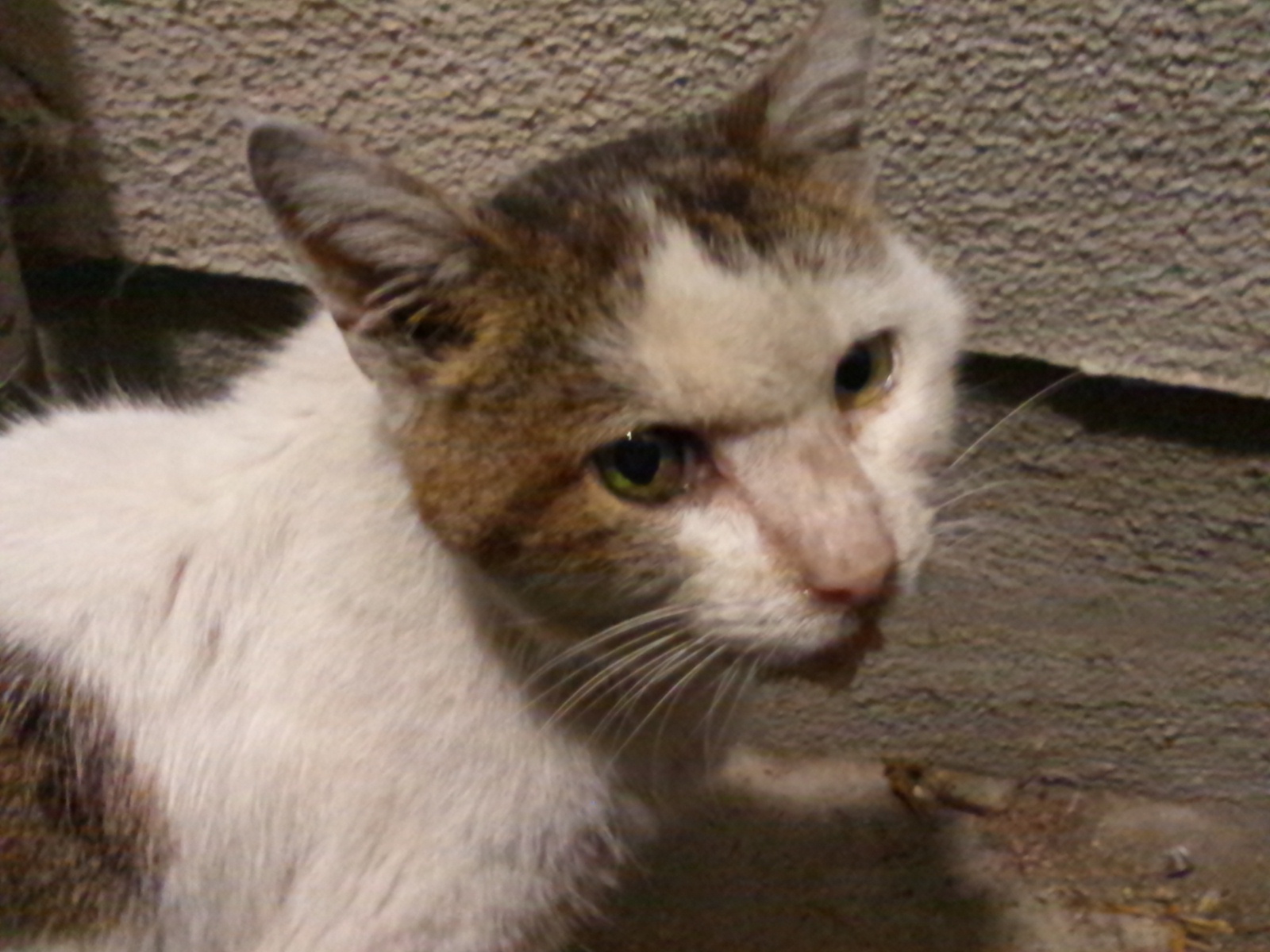 b0253057_156337.jpg