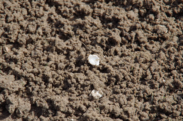 d0141457_22505940.jpg