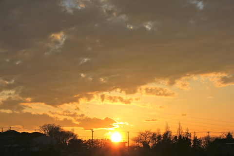a0248459_21294281.jpg