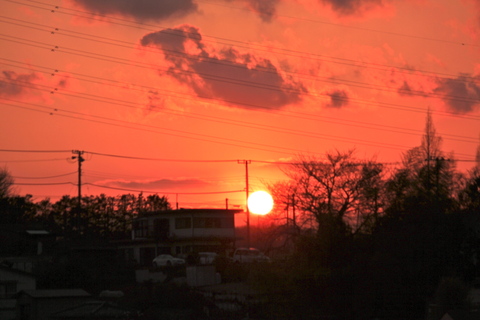 a0248459_21295139.jpg