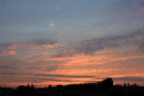 a0248459_2130047.jpg