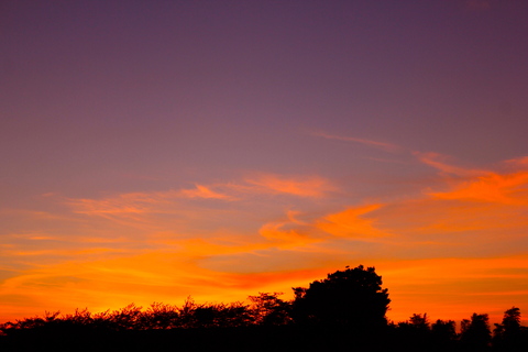 a0248459_21314161.jpg