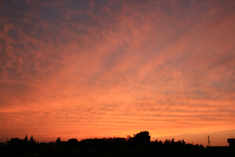 a0248459_2131486.jpg