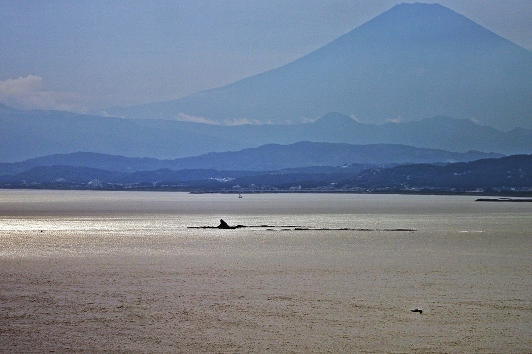 e0131966_1137440.jpg