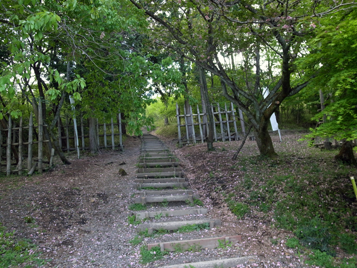 b0244280_2354884.jpg