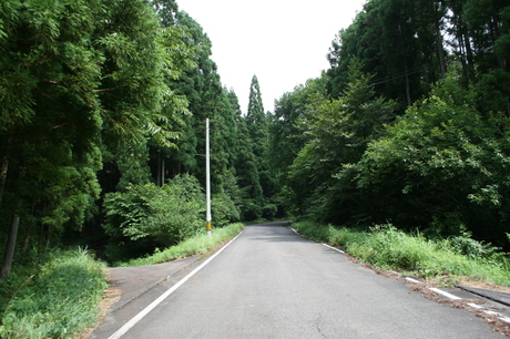 a0279883_14572733.jpg