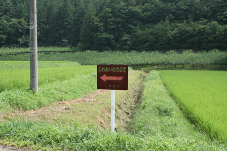 a0279883_1504429.jpg