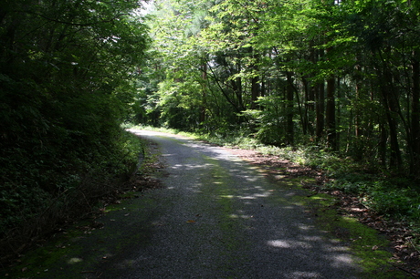 a0279883_1532431.jpg