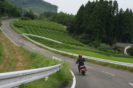 a0279883_1542481.jpg