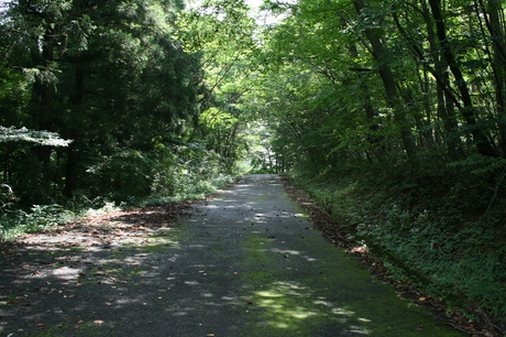 a0279883_1543992.jpg