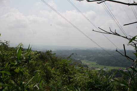 a0279883_1574954.jpg