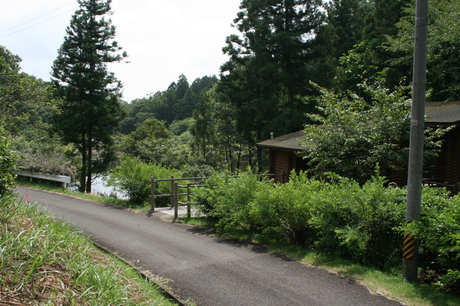 a0279883_1583887.jpg