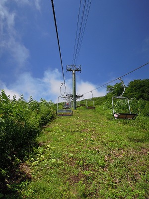 e0100086_2024145.jpg