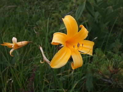 e0100086_20281487.jpg