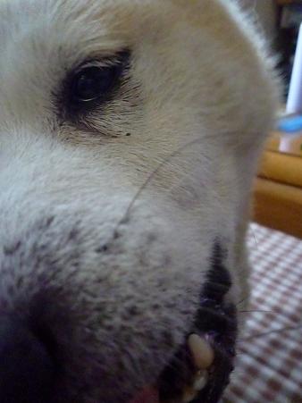 c0123890_2153823.jpg
