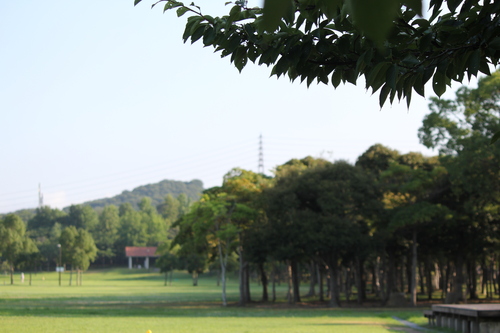 a0234491_22194050.jpg