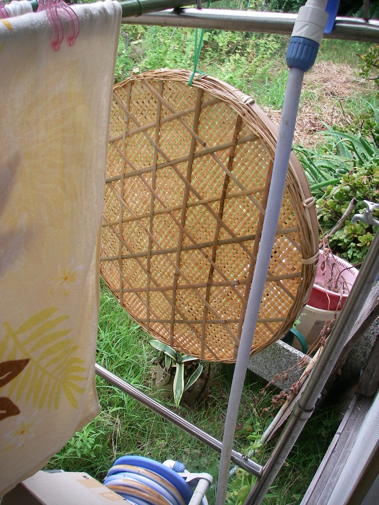 d0046294_7525361.jpg