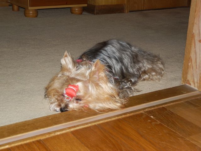 f0130894_22124298.jpg