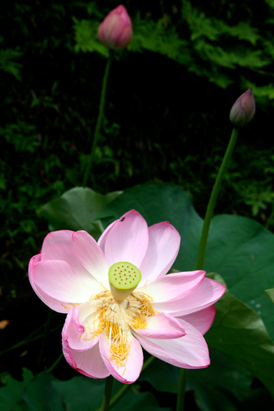 d0100095_9333573.jpg