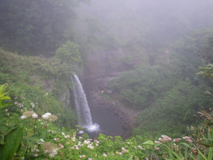 c0096000_2005663.jpg