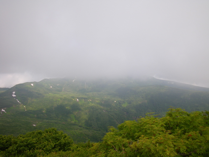 c0096000_2016737.jpg