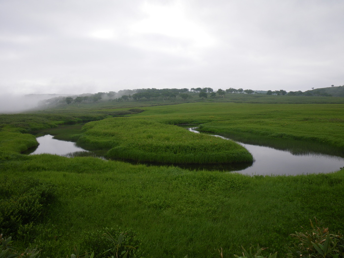 c0096000_2054434.jpg