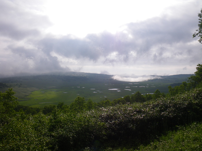 c0096000_2093487.jpg