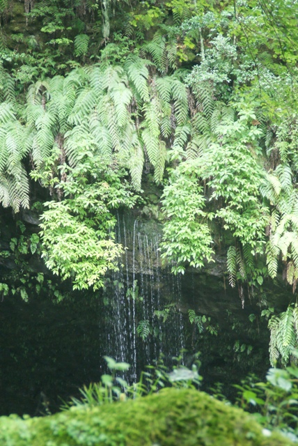 c0208200_22593569.jpg