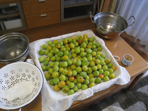 d0038301_2210015.jpg