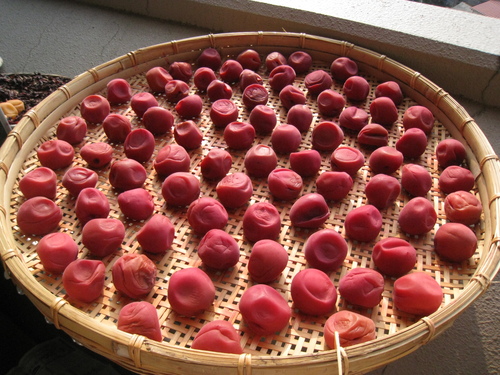 d0038301_22103421.jpg