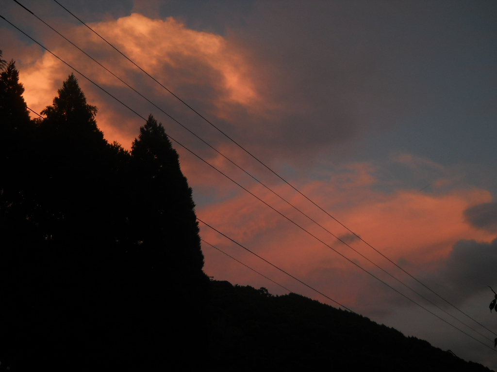 f0146802_163110.jpg