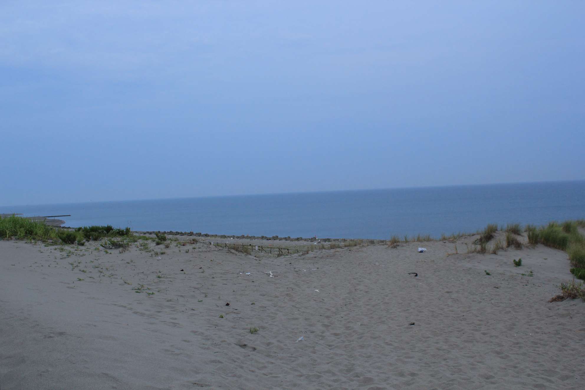 a0264604_881111.jpg