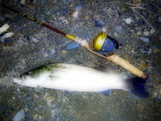 c0023804_14541068.jpg