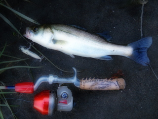 c0023804_1583192.jpg
