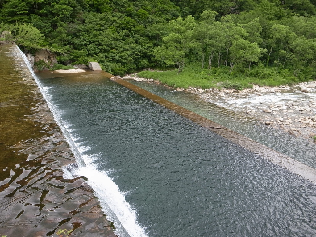 b0050305_834812.jpg