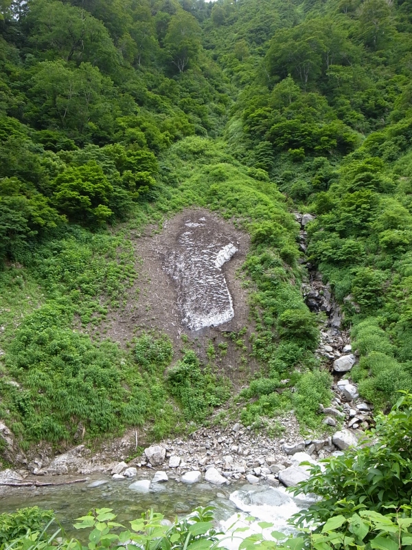 b0050305_8382473.jpg