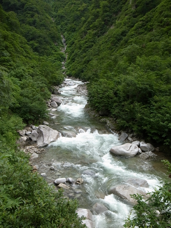 b0050305_8395739.jpg