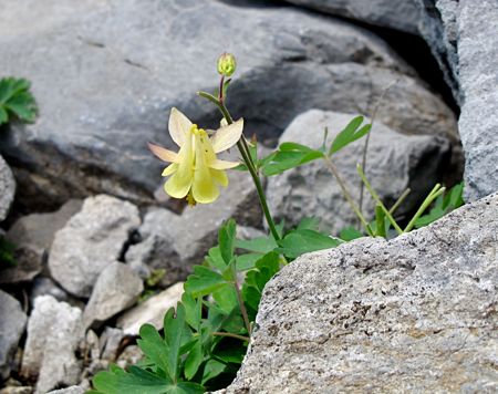 b0051109_1084741.jpg