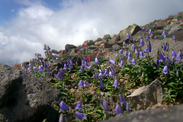 b0244811_2212375.jpg