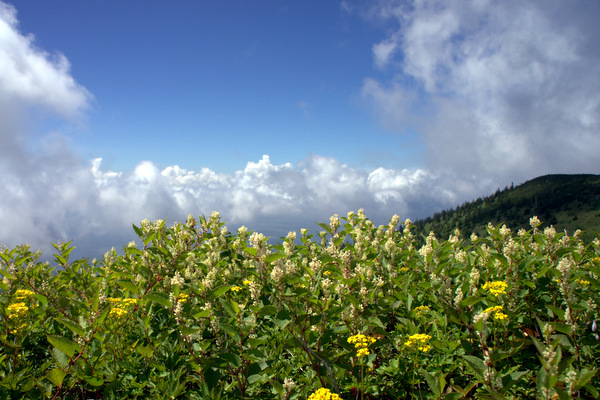 b0244811_22145041.jpg