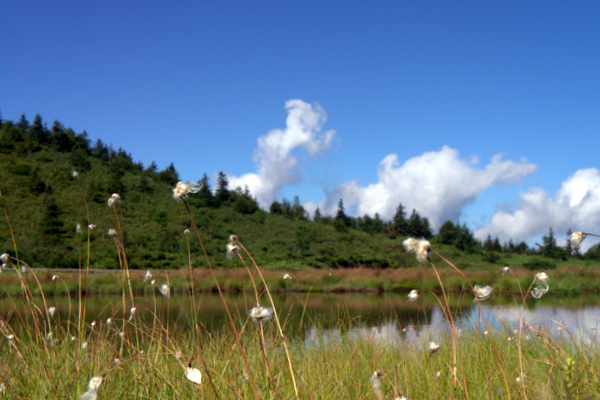 b0244811_226489.jpg