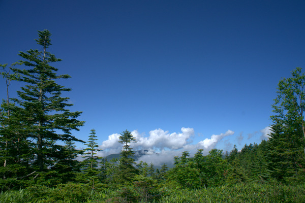 b0244811_2272929.jpg