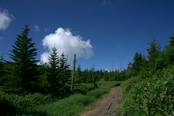 b0244811_2284524.jpg