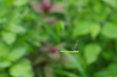 e0163212_0513647.jpg