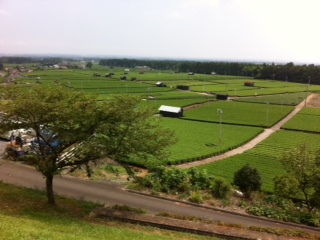 f0233412_10565299.jpg