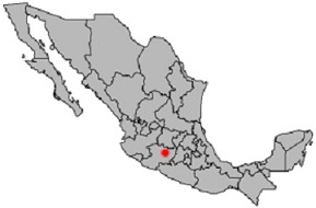 a0151913_20524318.jpg