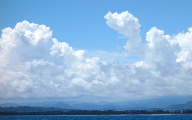 f0100920_840586.jpg
