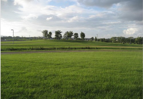 f0139520_9163532.jpg
