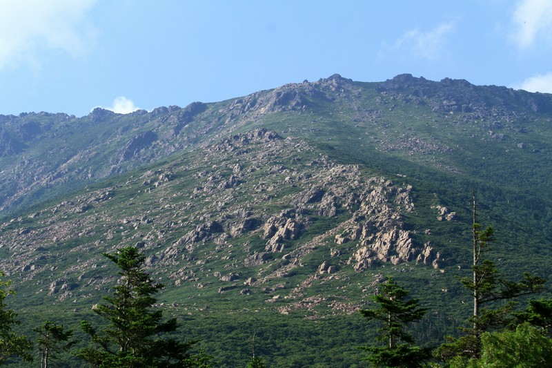c0104227_9401855.jpg
