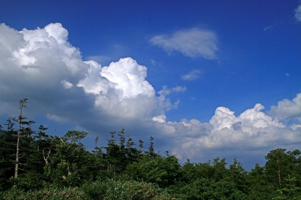 c0104227_9403891.jpg